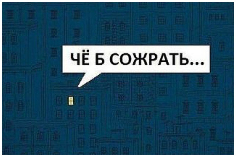 Фото из свободных источников. Фото автора 