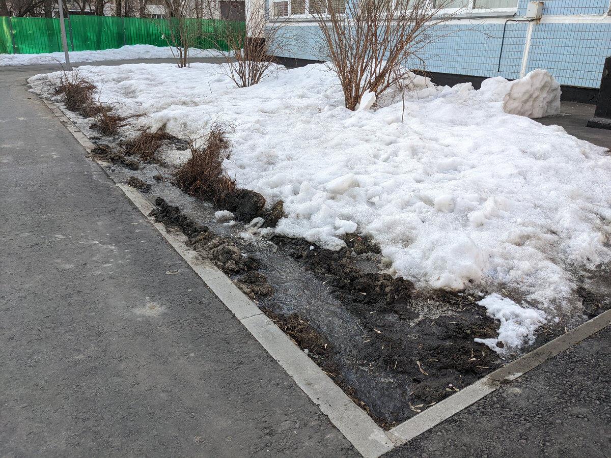 Следы от колеса