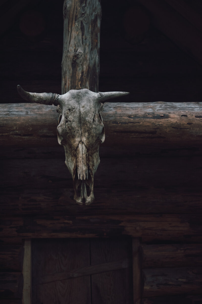 Photo by <a href="https://unsplash.com/@art_maltsev?utm_source=unsplash&utm_medium=referral&utm_content=creditCopyText">Artem Maltsev</a> on <a href="https://unsplash.com/s/photos/vikings?utm_source=unsplash&utm_medium=referral&utm_content=creditCopyText">Unsplash</a>   