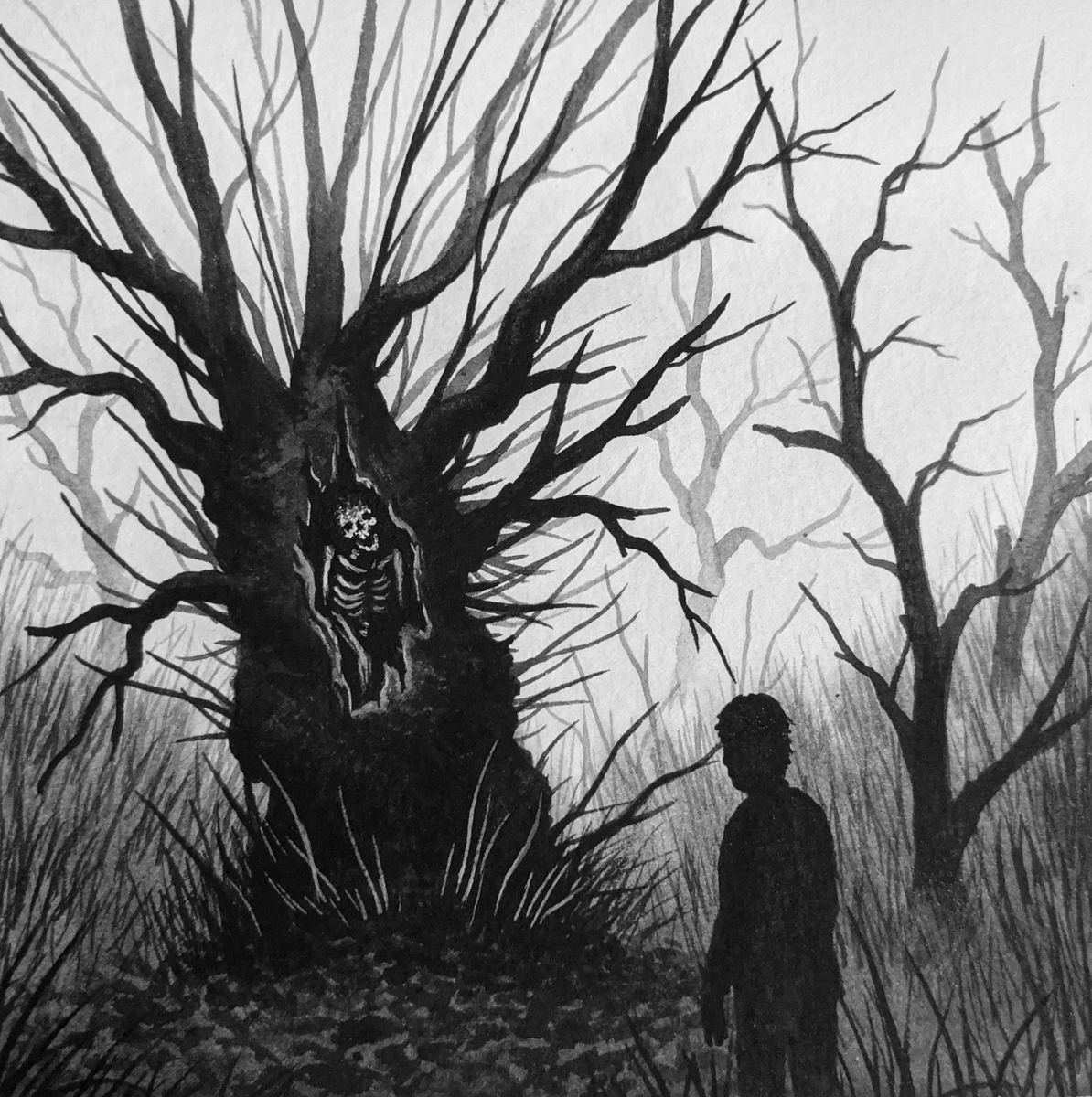 В ветвях дерева мальчишки нашли череп жертвы оккультного ритуала. Кто положил Беллу в вяз?