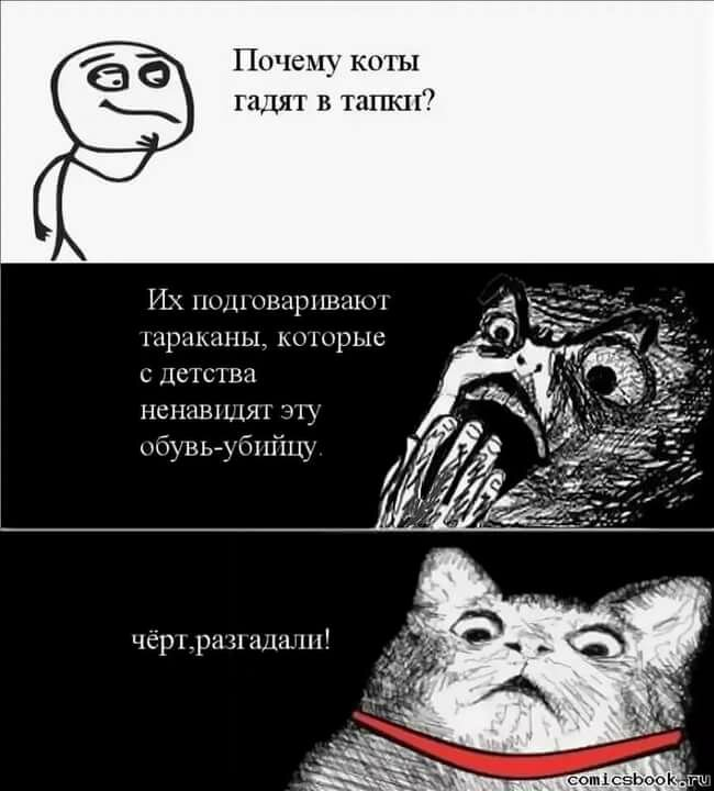 Мемы про котов Мемные факты Дзен