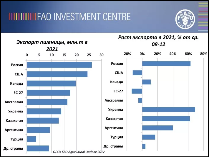 Первое место в мировом. Страны экспортеры пшеницы 2021. Экспортёры зерна в мире 2021. Производители производители и экспортеры пшеницы в мире. Страны экспортеры зерна в мире на 2021.