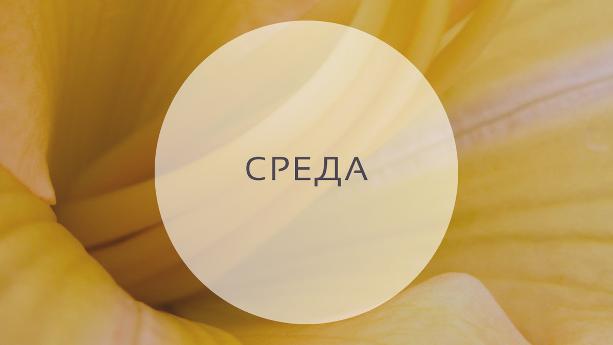 Гороскоп на 1 июня, среда. 3-й лунный день. Луна в Раке.