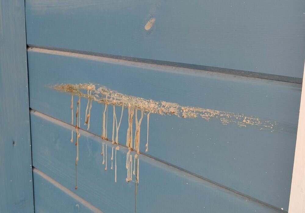 Выступает смола. Камедетечение (гоммоз) персиками. Выступает смола. Камедетечение (гоммоз) персиками. Выступает смола.