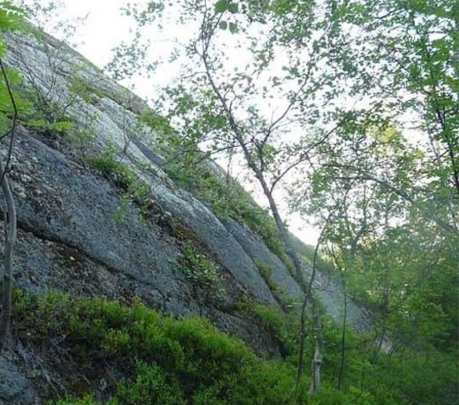 и вся жизнь