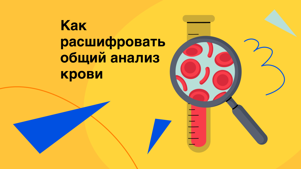 Эритроциты у нижней границы, гемоглобин — там же! Это что, рак? Как  интерпретировать общий анализ крови без паники | Здоровый подход |  Современная медицина | Дзен