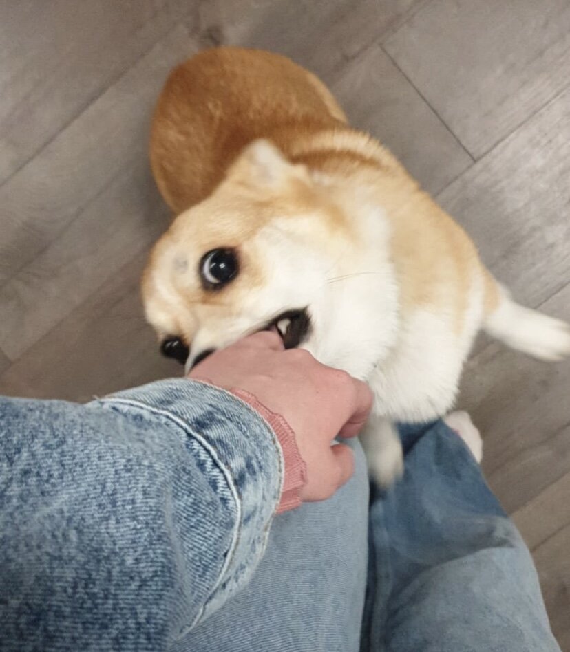 Цап за палец.