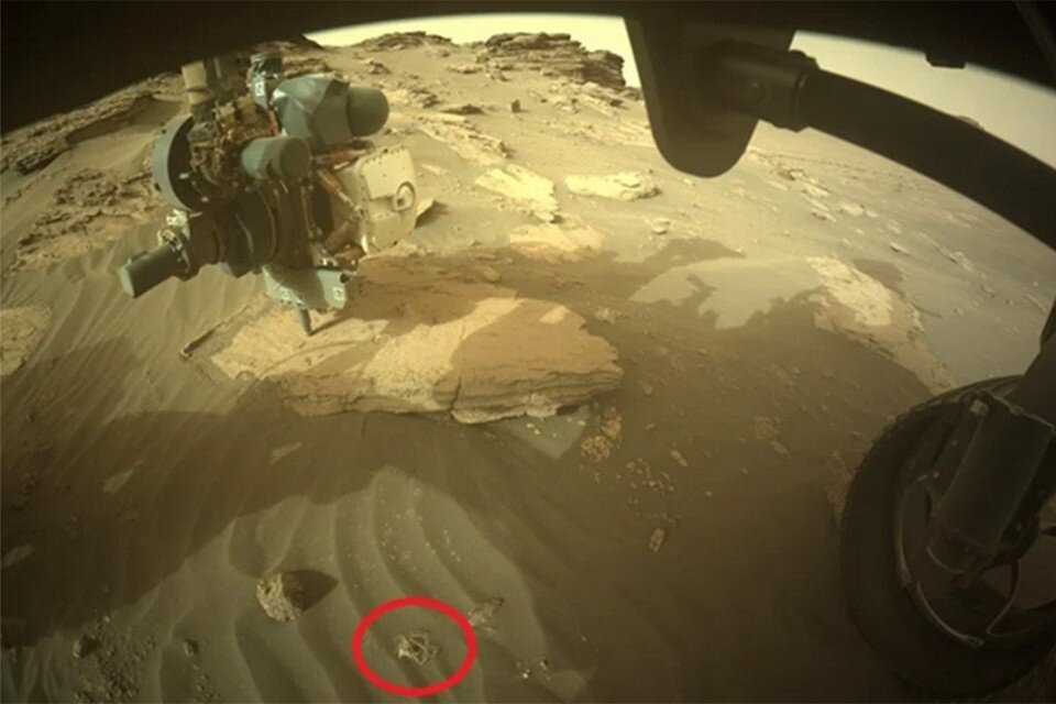     В пучке, который принесло ветром под марсоход, волоски были толще.