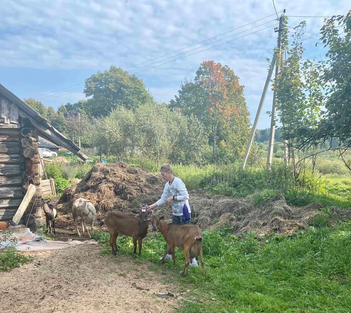 Здесь живёт моя душа - Браславские озёра. БЕЛАРУСЬ | ДвижЖИЗНЬ | Дзен