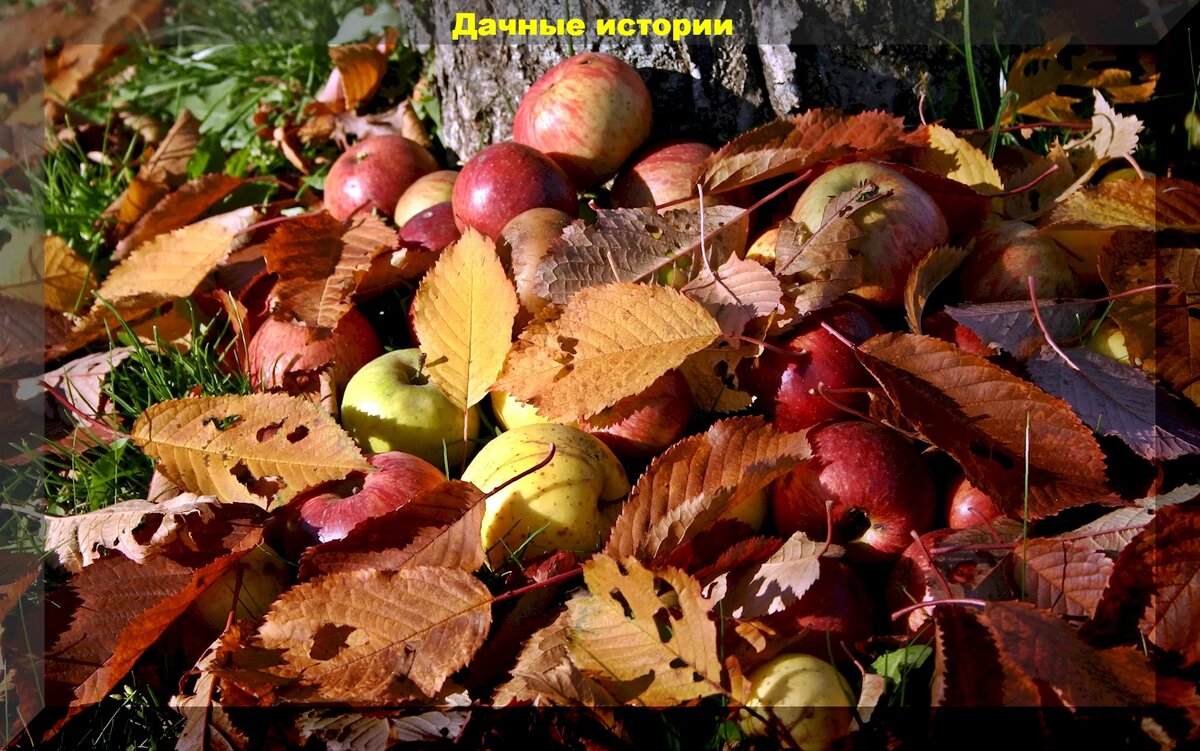 https://vk.com/photo-159774511_457255796