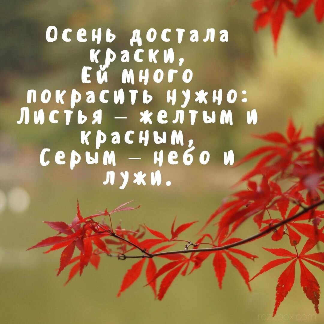Свободный доступ Яндекс картинки 