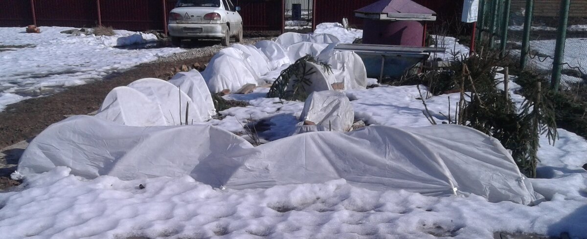 Весна пришла...