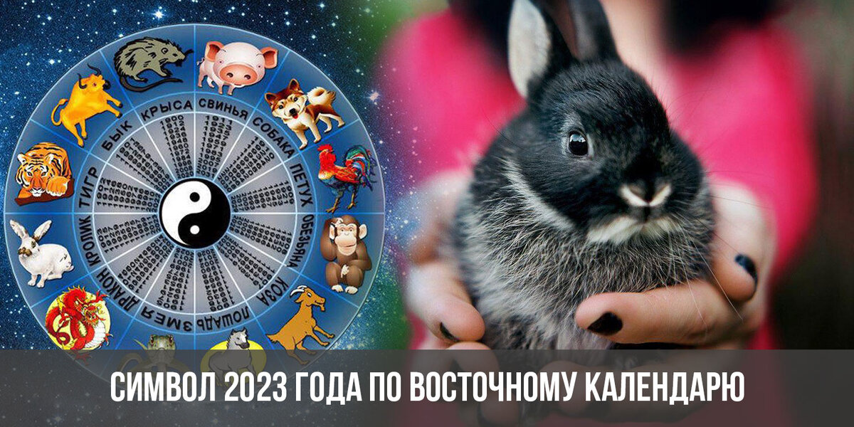 Яндекс картинки
