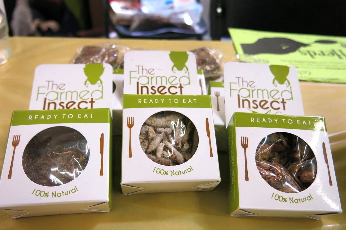 Insects snack