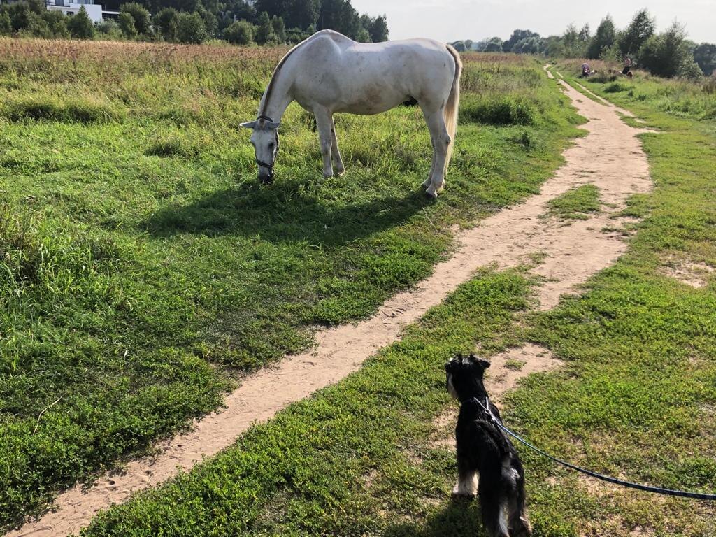 Фото: из личного архива (Наверное думает, какой большой брат, ну или сестра)