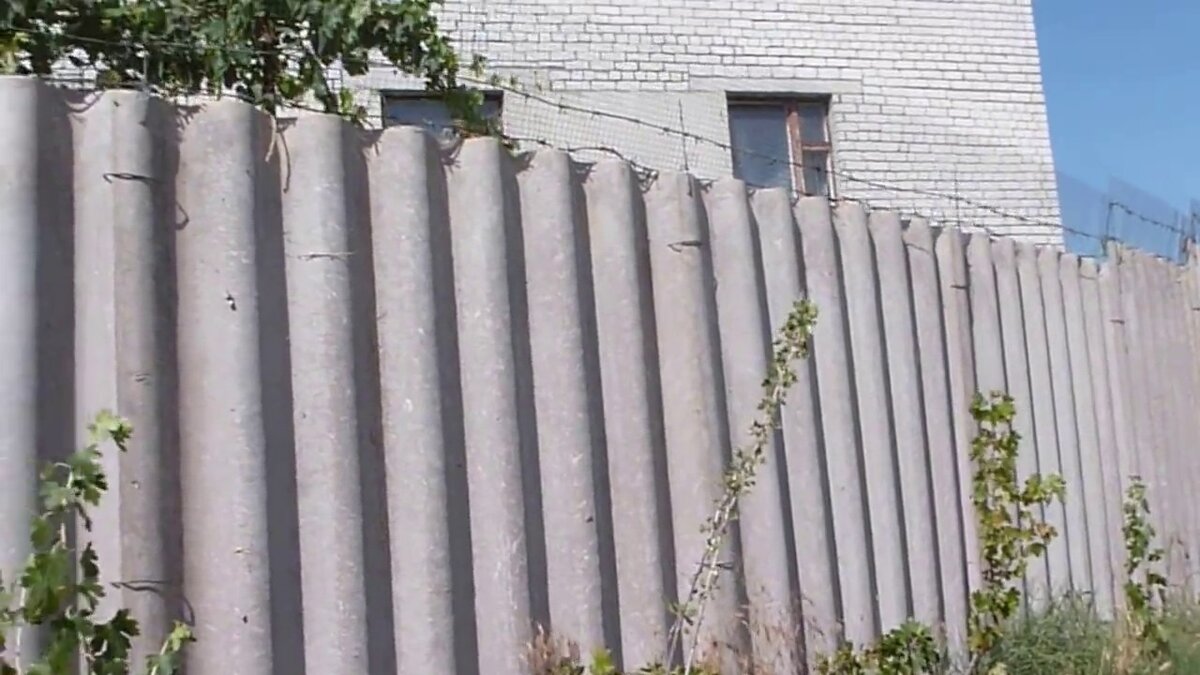 Быстро и  бесплатно !