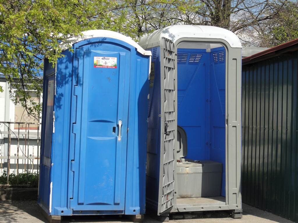Фото с Яндекс картинок.