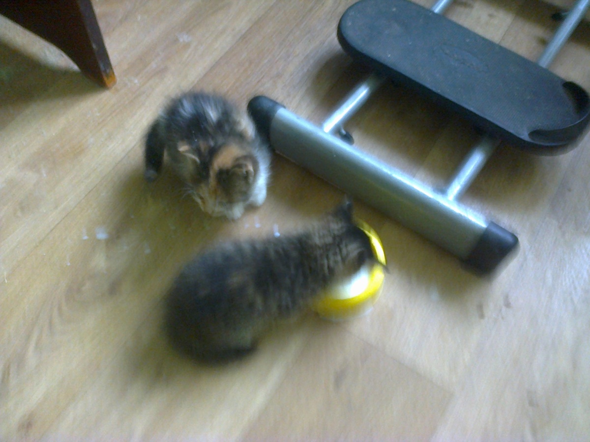 вторая партия