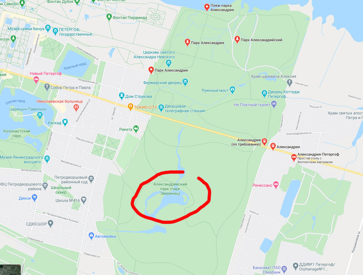 Карта бесплатных туалетов в москве