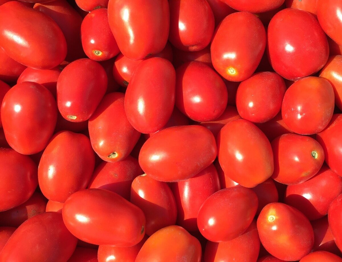 Консервированные помидоры на зиму