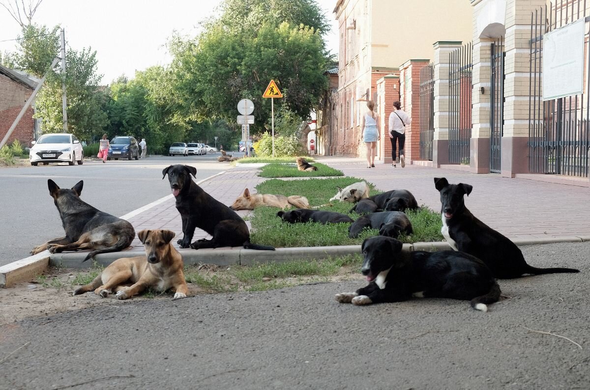 Это Астрахань