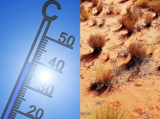 Фото - pixabay.com