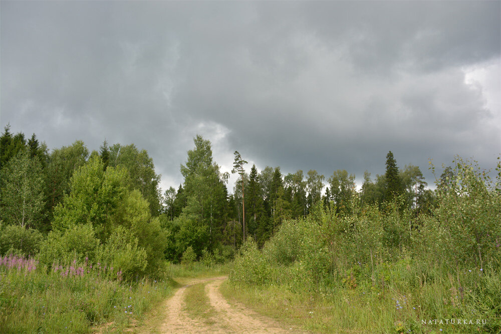 Нам попадались едва заметные дороги, как не странно, приводившие к цели 