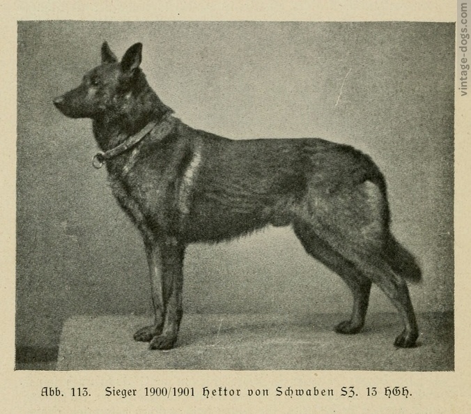 Источник яндекс.картинки 