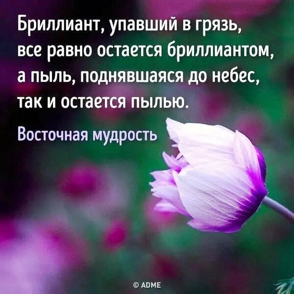 Иллюстрация из источника: https://demotivation.ru/wp-content/uploads/2020/04/s1200-20-7.jpg 