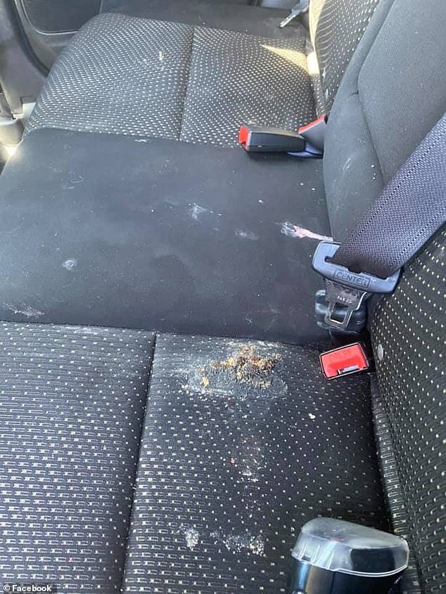 Фото машины До