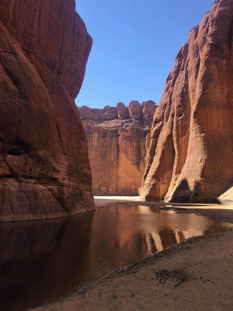 Чад вода. Гельта Аршей, Чад. Сахара Оазис. Красивый Оазис. Чад природа.