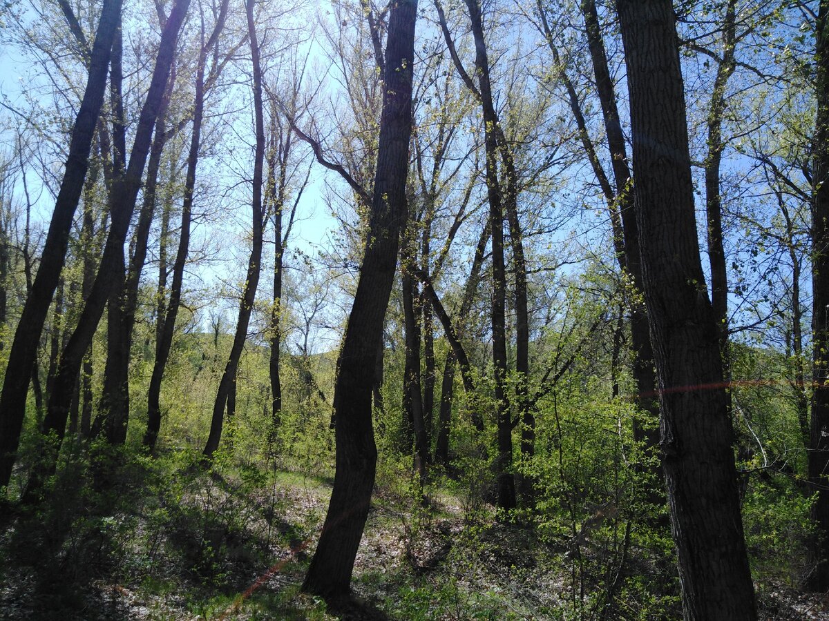 Фотография была сделана в п.Губерля Оренбургской области.