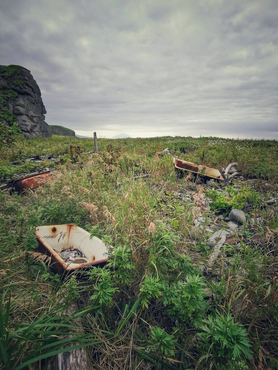 В этих ваннах когда-то работали с рыбой