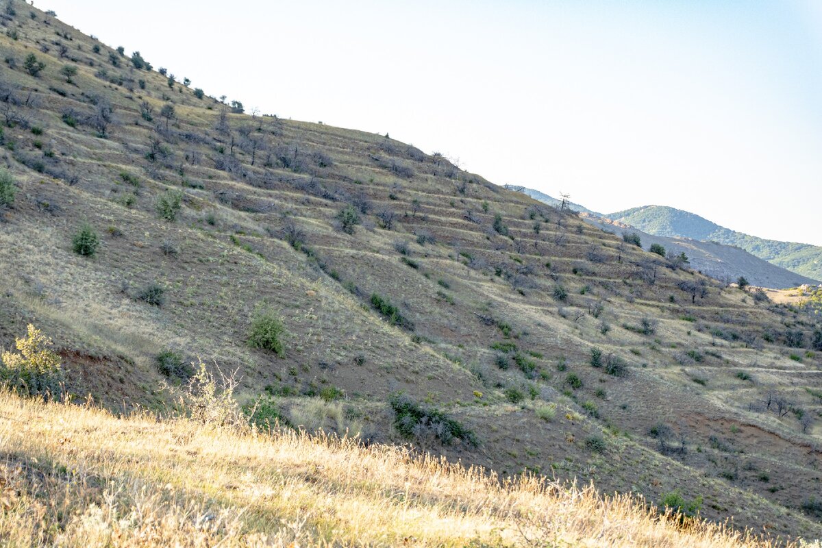 2. Восточные склоны хребта.