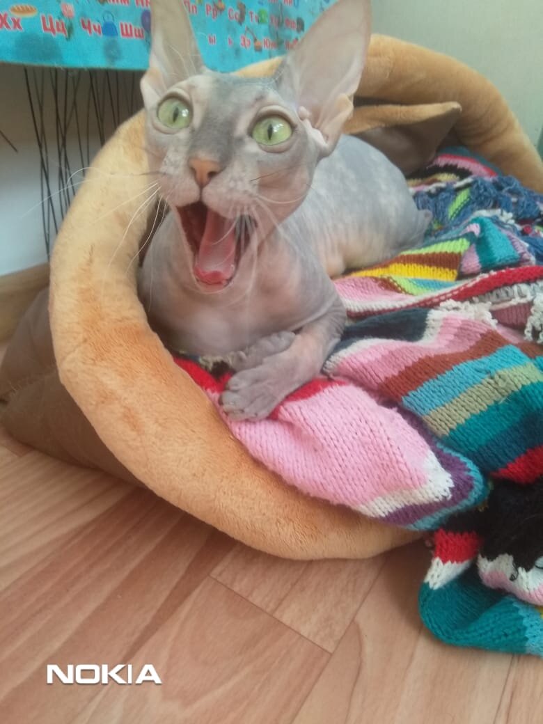  Марго рыбки хочет