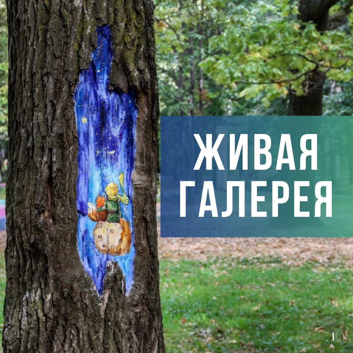 «Маленький принц» 
Фото: Наталья Бурухина