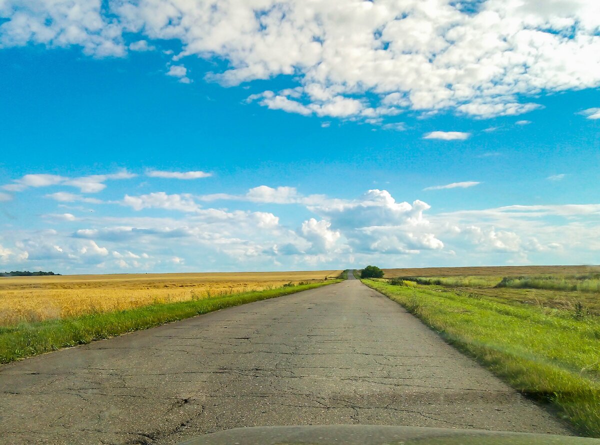 Дорога пятого класса. Дороги Рязанской области. Вид на дорогу. Летняя дорога. Пустая дорога лето.