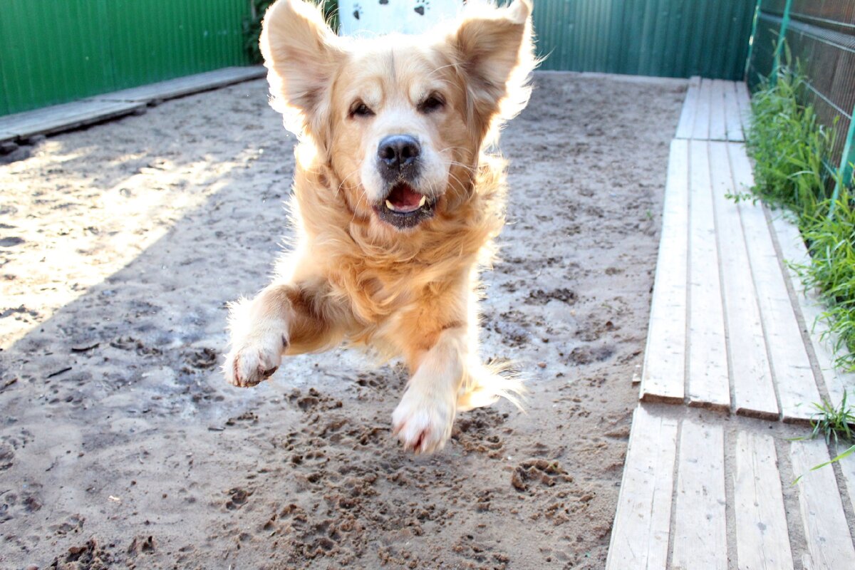 Джек - наш гость