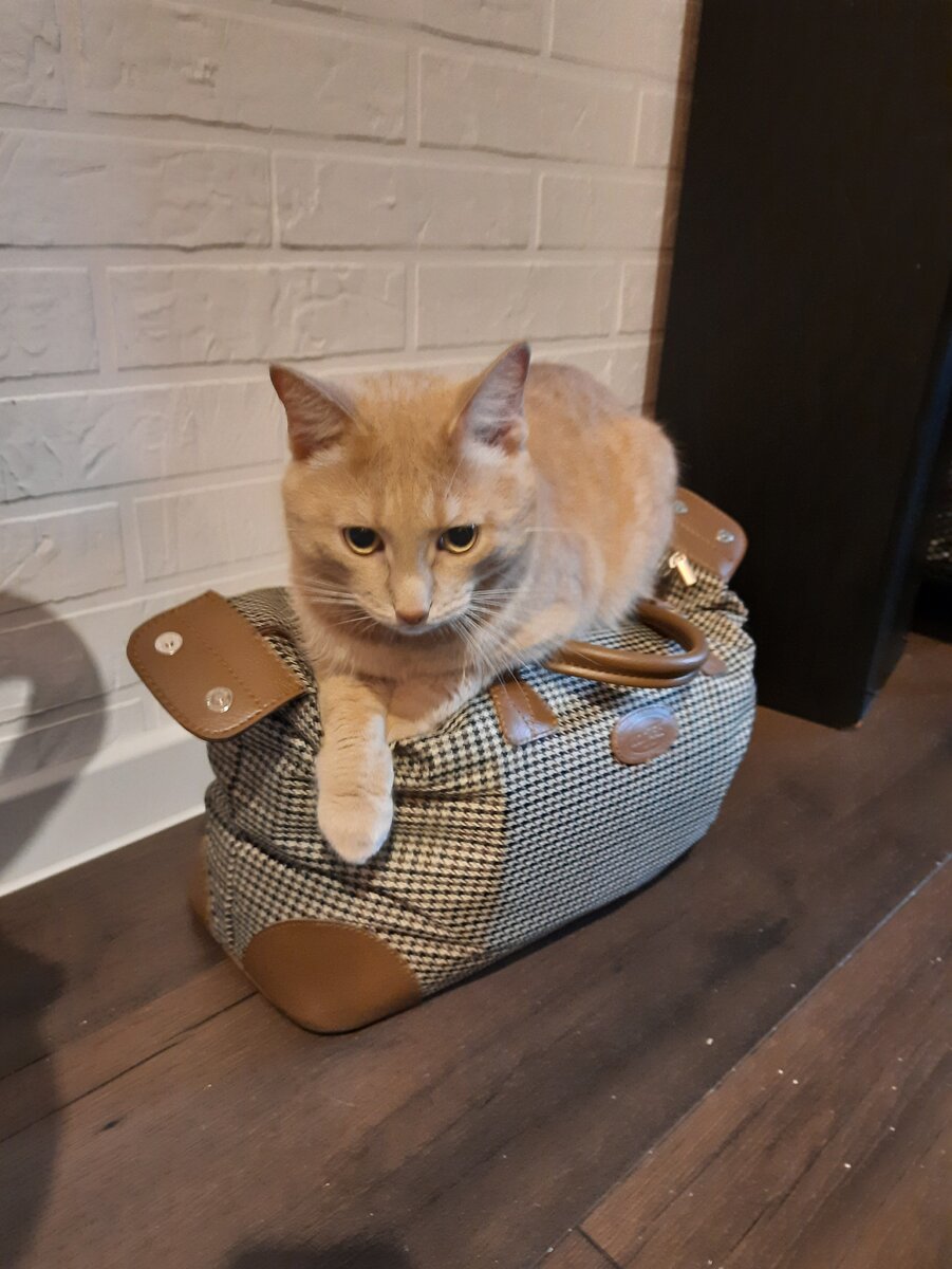 Как приехала, так и не вставал)))