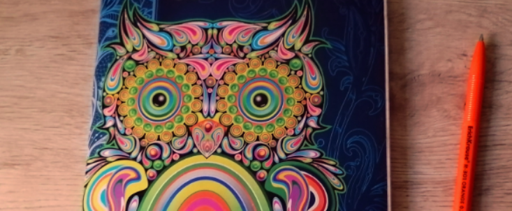 Фото автора: стодневка приближается. 