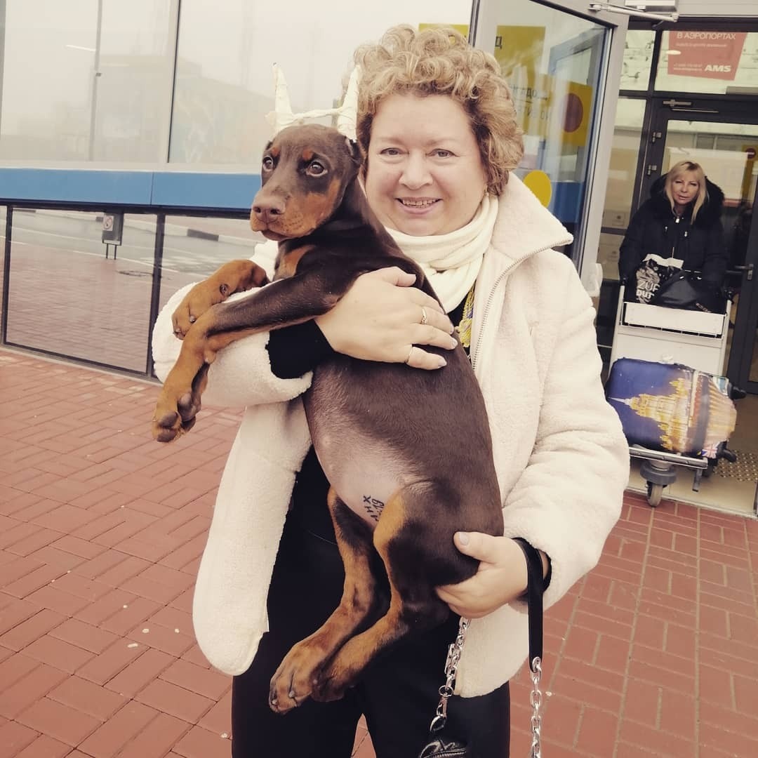 Источник https://vk.com/arlenrus