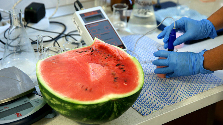 Яндекс Картинки