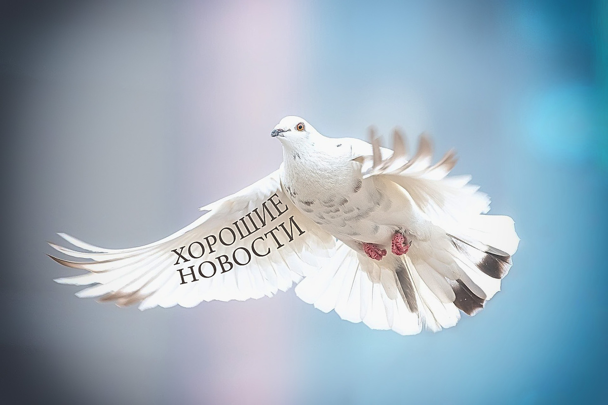 Хорошие Новости