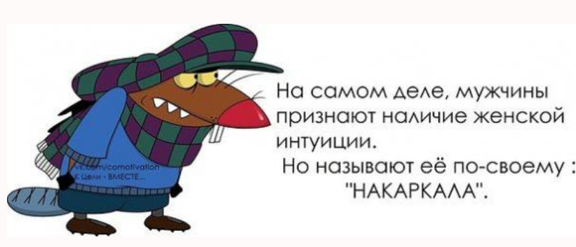 Приколы про интуицию картинки