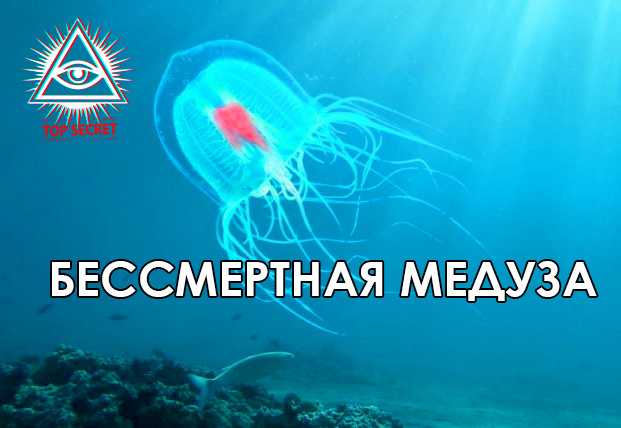 Top Secret / Совершенно Секретно