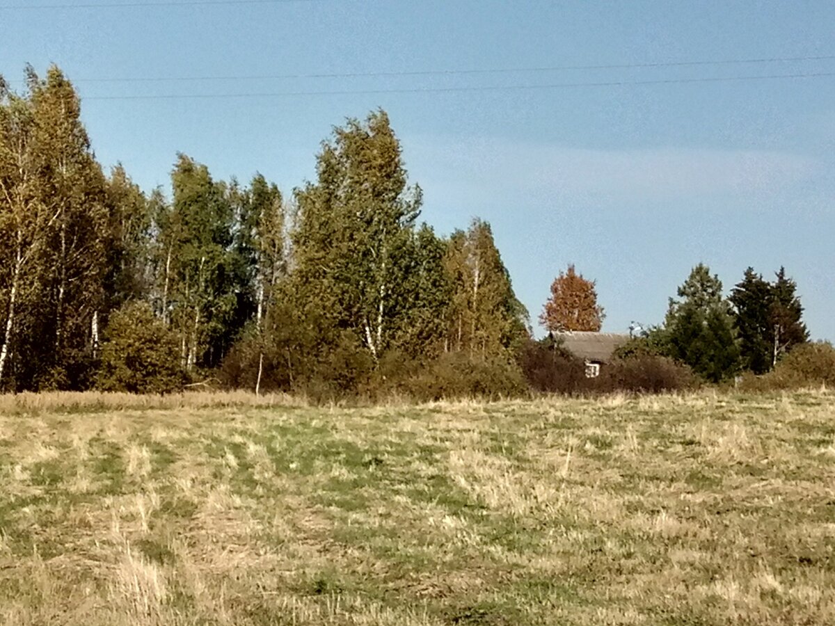 Фото автора. Окраина села осенью.