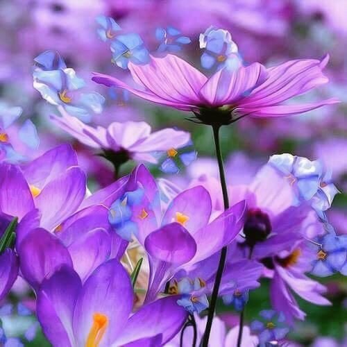 Фото взято из открытого источника.Для разбавления текста.