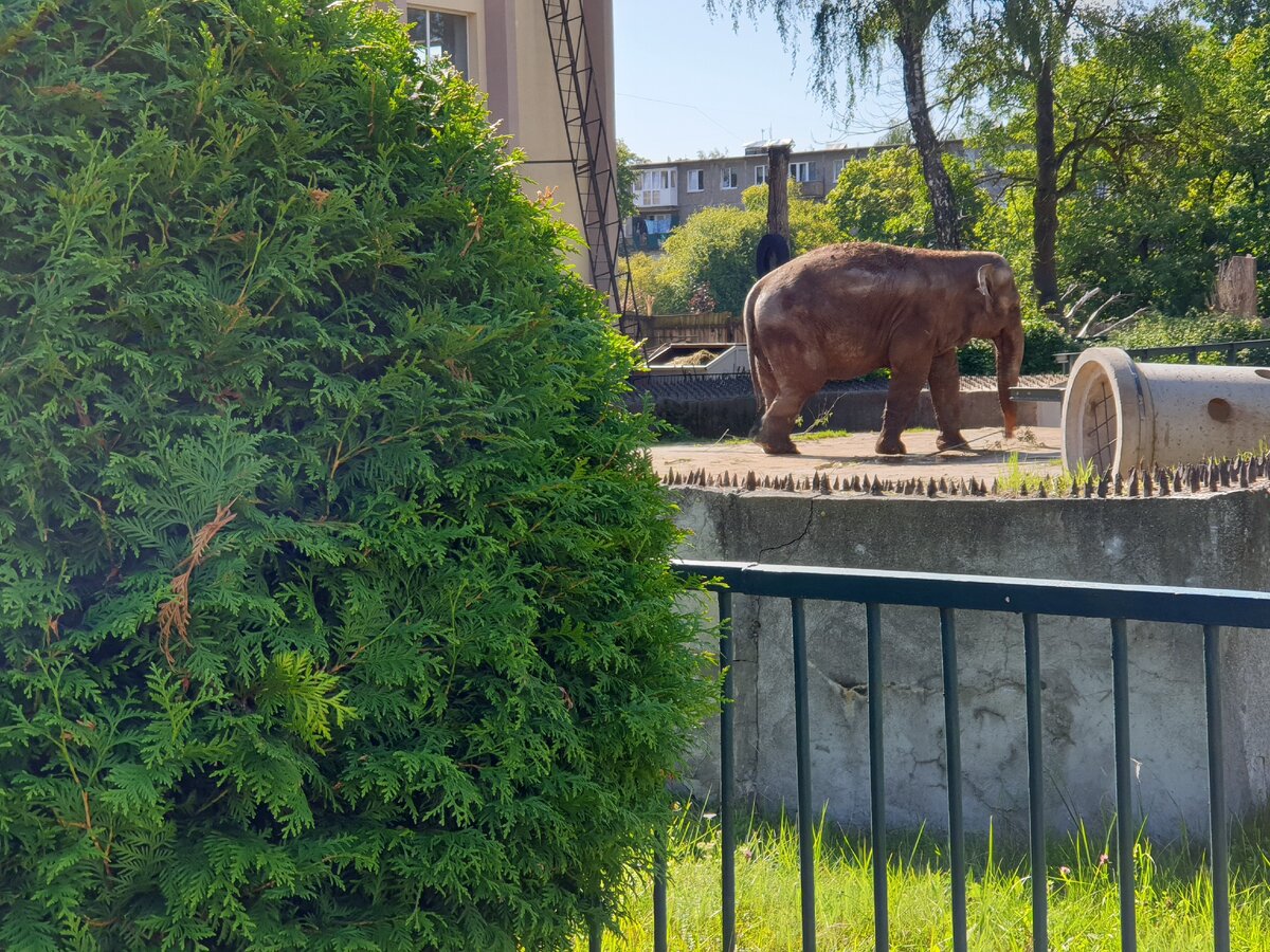Все фото принадлежат автору канала "НОВОЕ ТУРНЕ"