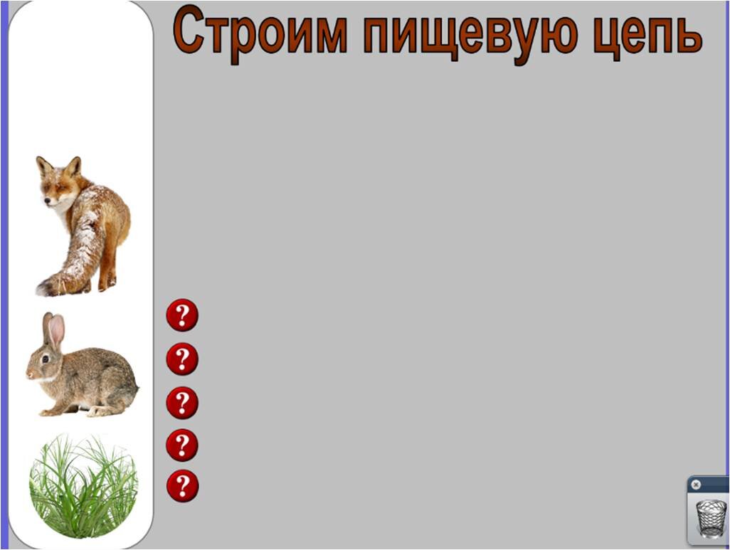 Что на самом деле происходит в цепях питания. Урок в пятом классе | Елена  Сова: пуд соли в школе | Дзен