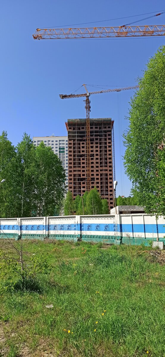 Человеческий муравейник